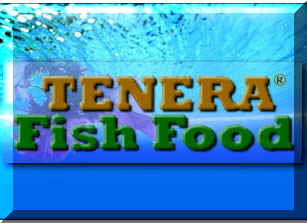 Tenera_logo.jpg (25709 bytes)